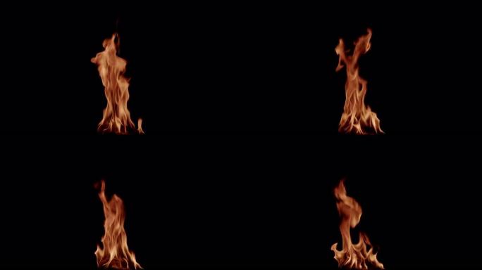 燃烧的火。篝火。黑色背景上燃烧的火焰特写镜头，慢动作