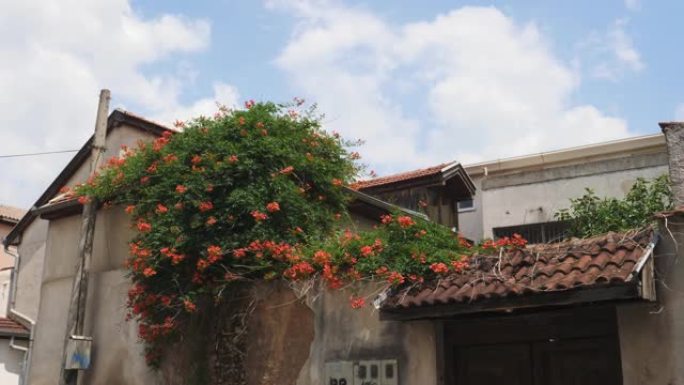 传统的巴尔干房屋立面上挂花