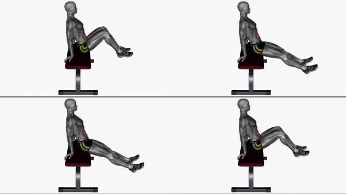长凳膝盖臀部健身锻炼动画男性肌肉突出演示4k分辨率60 fps