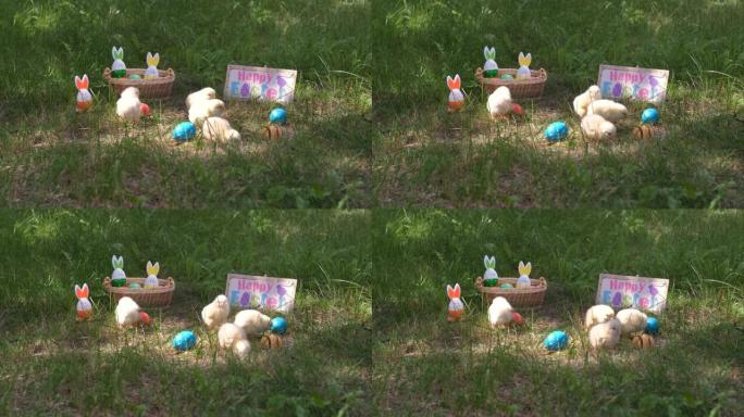 复活节那天，一群在草地上休息的小鸡