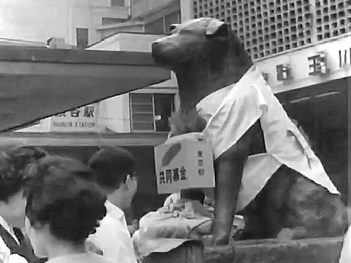 1960年日本 忠犬八公雕像前募捐