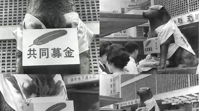 1960年日本 忠犬八公雕像前募捐