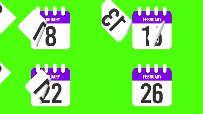 2月26日。日历出现，页面下降到2月26日。绿色背景，色度键 (4k循环)