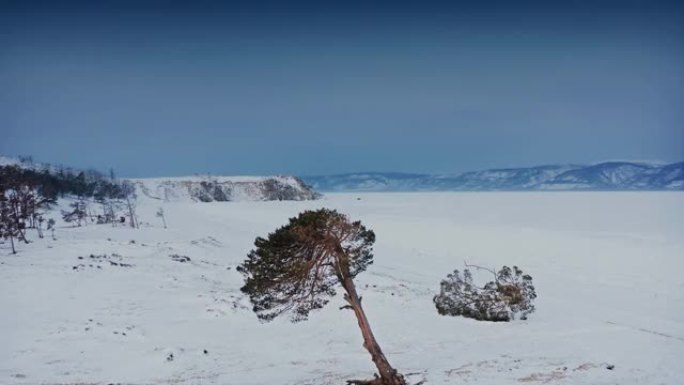 贝加尔湖，国家公园的远足径。飞越俯瞰山脉的特有松树。俄罗斯西伯利亚贝加尔湖。无人机航拍