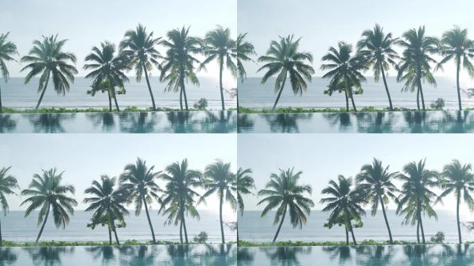 背景为海滩和黄昏日落的椰子树。透过镜子拍摄，反射着人们的阴影。放松和度假的感觉。潘开枪。泰国。普吉岛