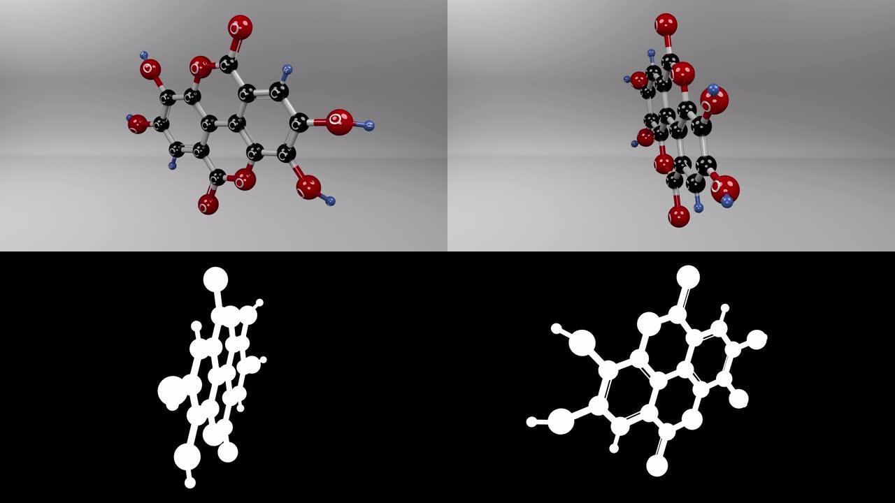 鞣花酸分子。