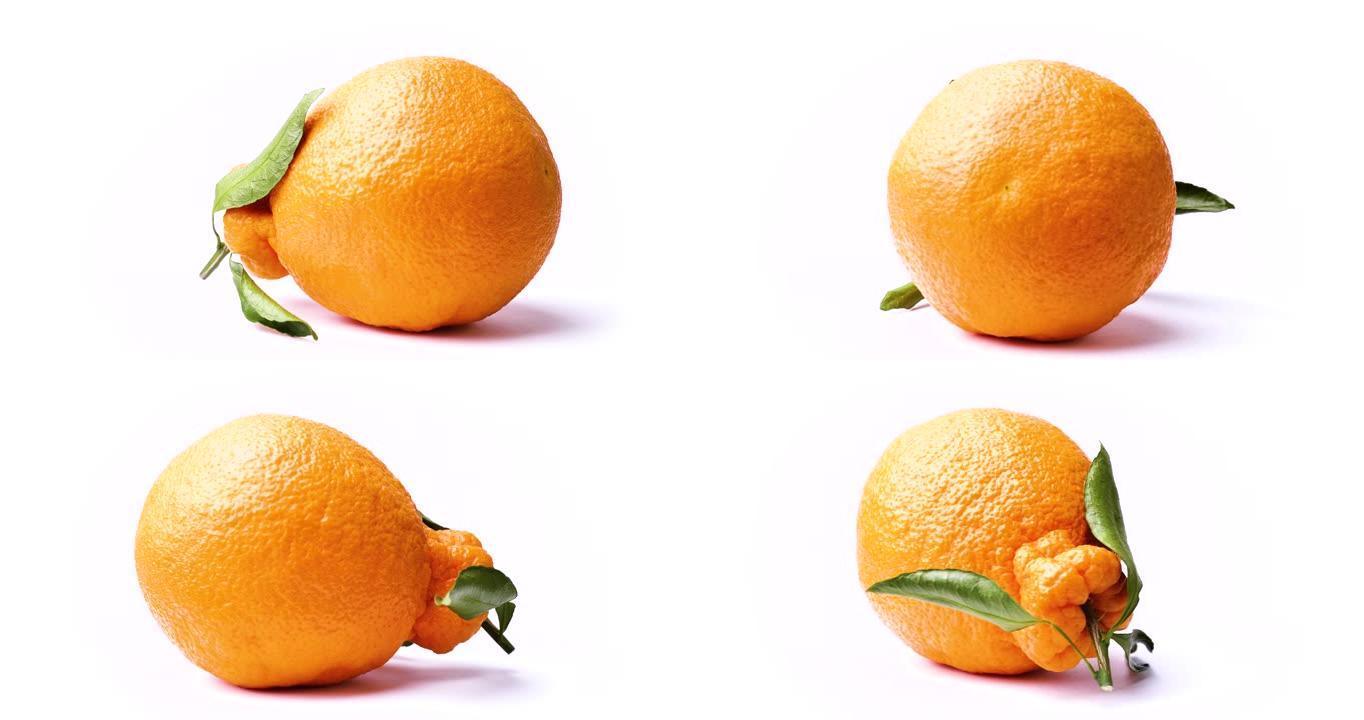 这是一种叫做Dekopon的水果。