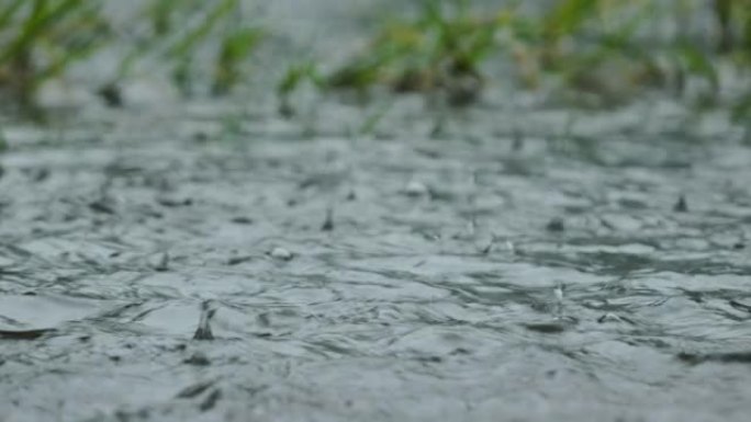 落在草地上的雨水飞溅不会完全吸收并形成水坑