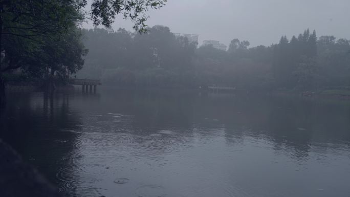 4K实拍，广州春雨中湖边树木倒影美景