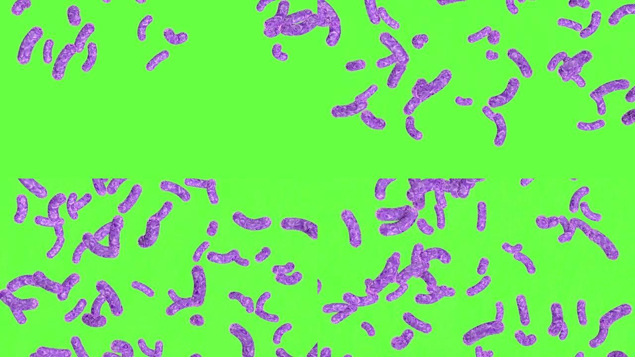 细菌在绿色屏幕上下雨。3D动画。科学概念。