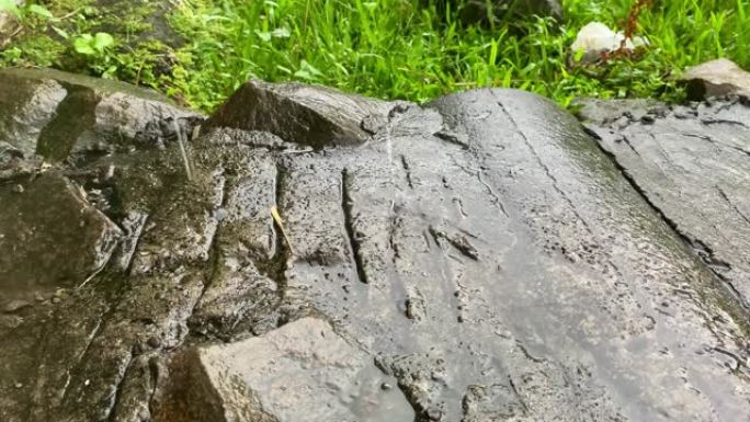 雨滴落在鹅卵石或鹅卵石上。在雨淋湿的绿草的背景下