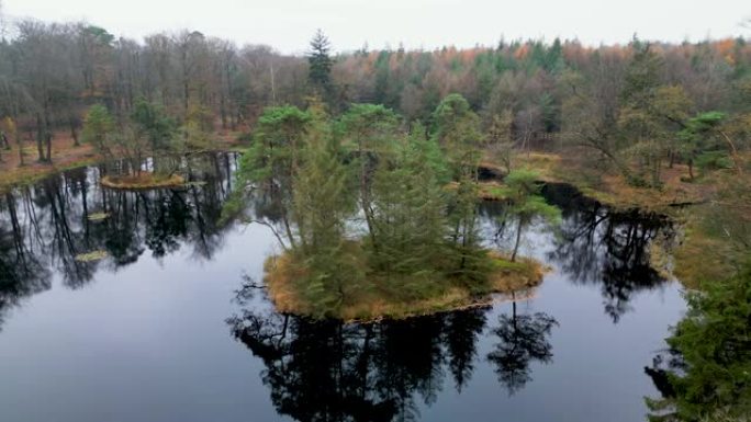 空中拍摄以森林为背景的湖泊上的小岛