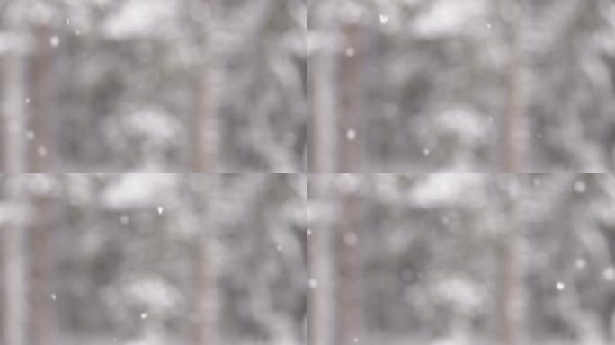 爱沙尼亚冬天从天而降的雪
