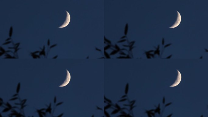 【高清】傍晚月亮意境唯美月夜2