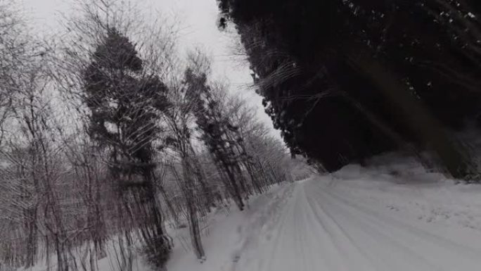 FPV风格飞越雪林山路