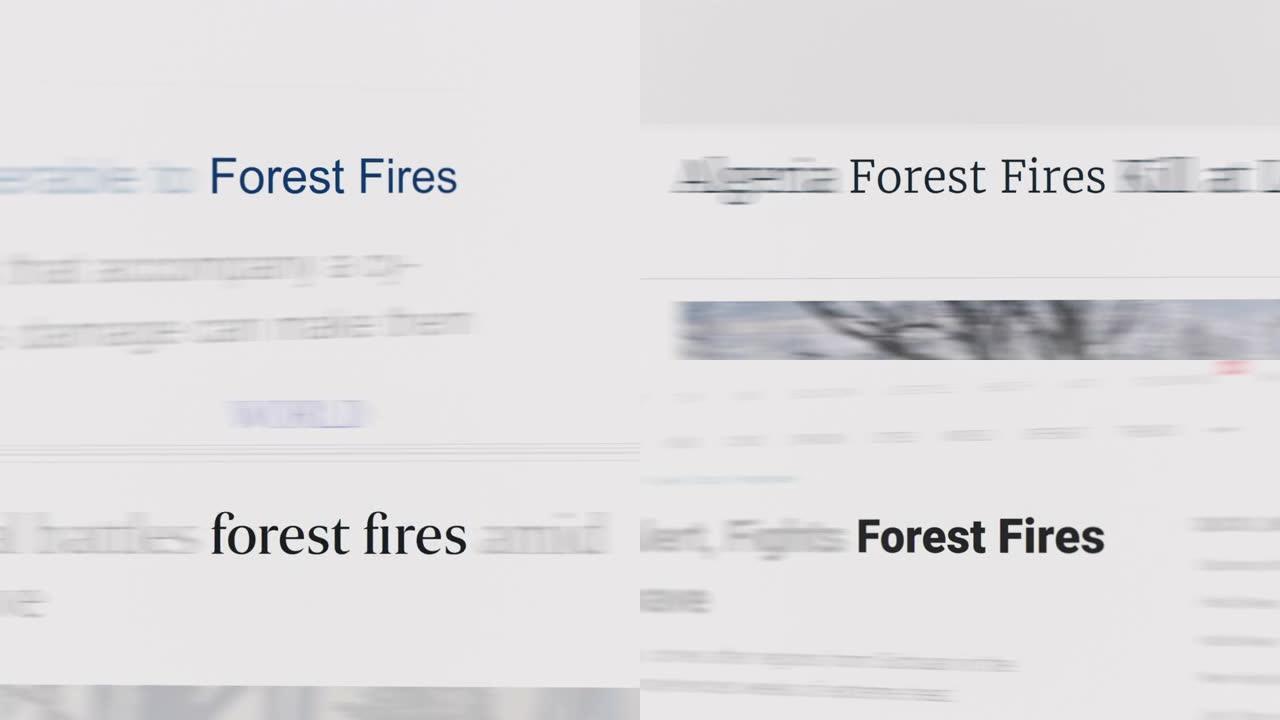文章和正文中的森林火灾