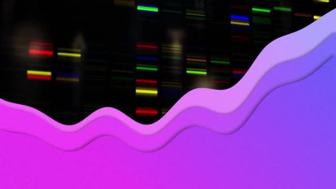 黑色背景上的紫色波对科学数据处理的动画