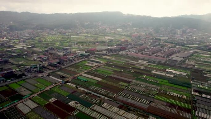 菲律宾碧瑶市的生菜农场