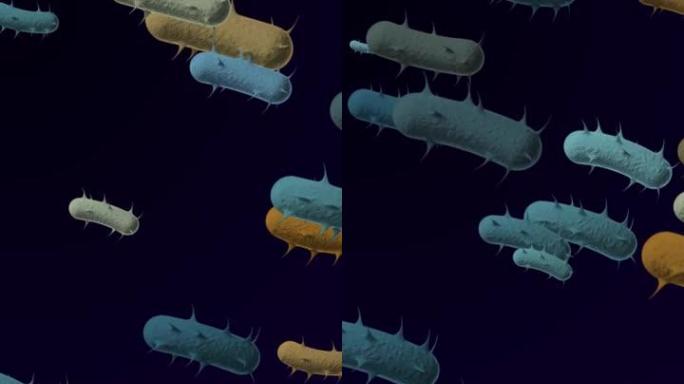 电子显微镜看到的细菌-4k显微细菌医学背景-循环，可循环细菌-漂浮的大肠杆菌细菌-细菌的3D动画-细