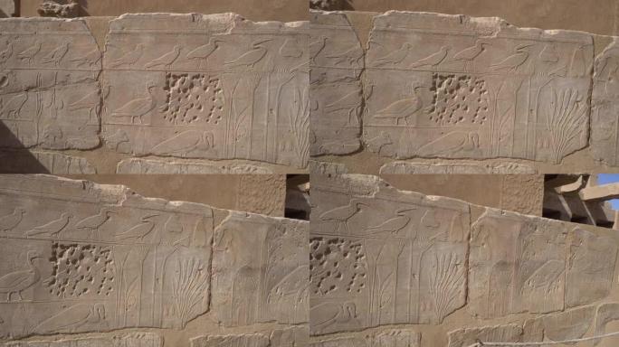植物园，卡纳克象形文字的神庙，在埃及丰富的墙壁上有外来植物和鸟类