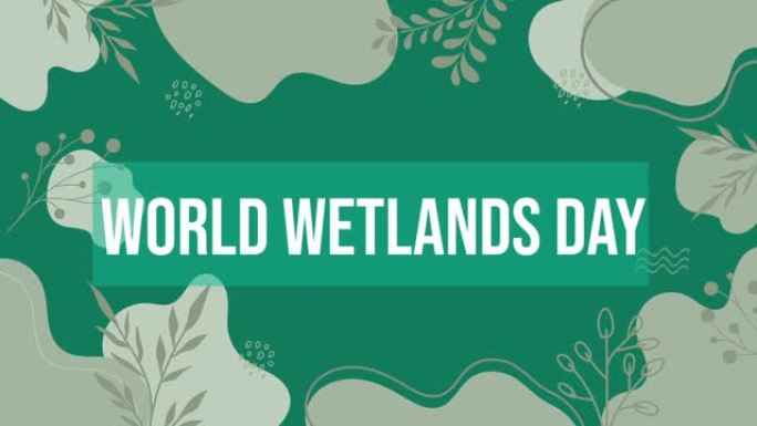 世界湿地日国际湿地日动画视频。(世界湿地日)。