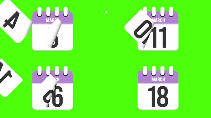 3月18日。日历出现，页面下降到3月18日。绿色背景，色度键 (4k循环)