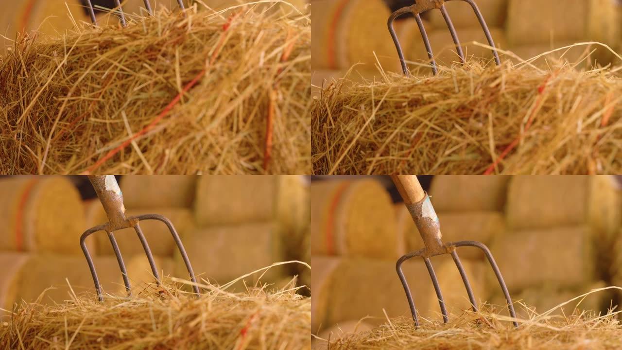 干草堆中的干草叉 (农业设备)，慢动作，背景中的干草堆
