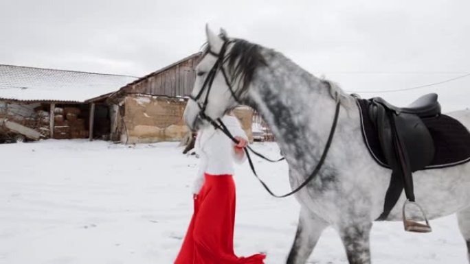 穿着红色连衣裙的女骑师带着马走-冬天的景色