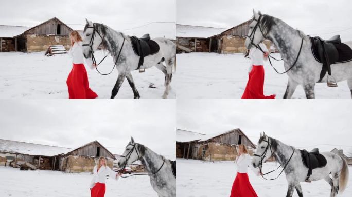 穿着红色连衣裙的女骑师带着马走-冬天的景色