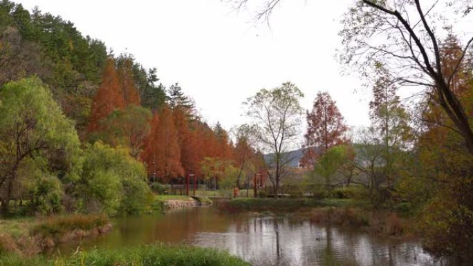 韩国釜山永索福祉公园的秋季森林和湖泊