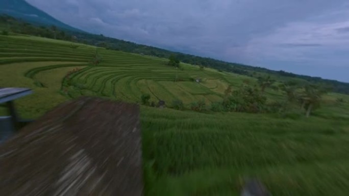 亚洲稻田绿色丰收行热带景观路山雾天