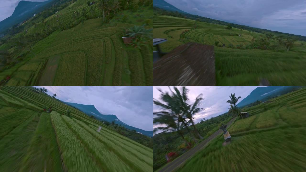 亚洲稻田绿色丰收行热带景观路山雾天