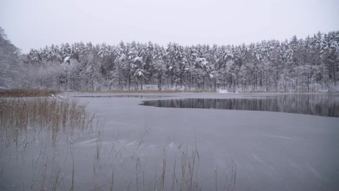 冬季，无人驾驶飞机在被高树环绕的湖上拍摄