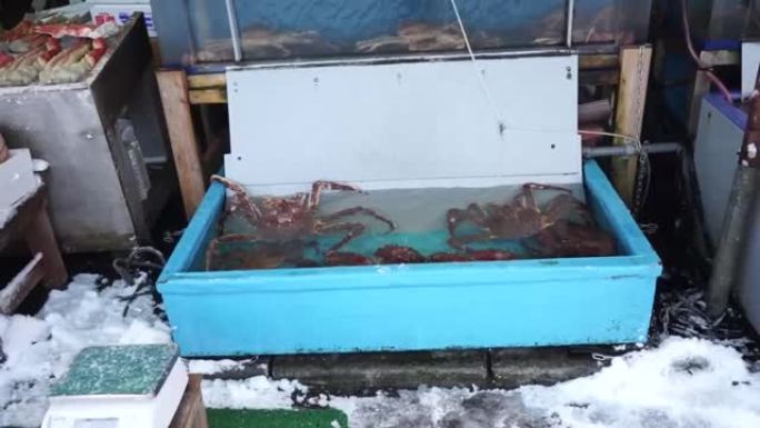 鱼市场上的日本活taraba蟹t