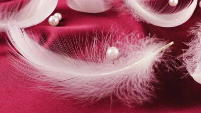 红色丝绸上的白色天鹅羽毛和珍珠。