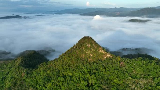 空中无人机拍摄了早晨有大量雾和薄雾的热带雨林，空中无人机观看了观点的日出场景Kunung Seipa