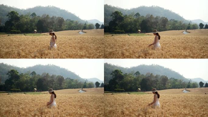 美丽的景色，一个年轻的东南亚女性在白色连衣裙走在大麦麦田