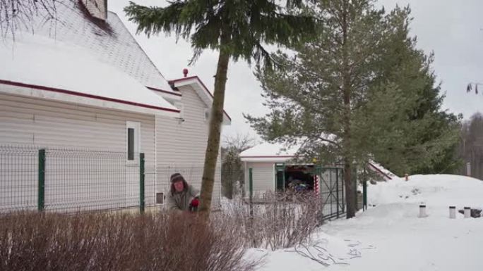 冬天，一个人在房子附近用电锯锯一棵高大的圣诞树。锯木落在雪地上