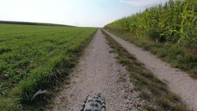 黑色橡胶自行车车轮的特写镜头，它驶过一条美丽的绿色小路