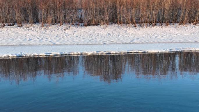 河面残冰护河柳倒影