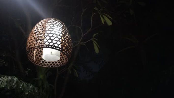 公园花园树上悬挂的竹编灯罩灯灯