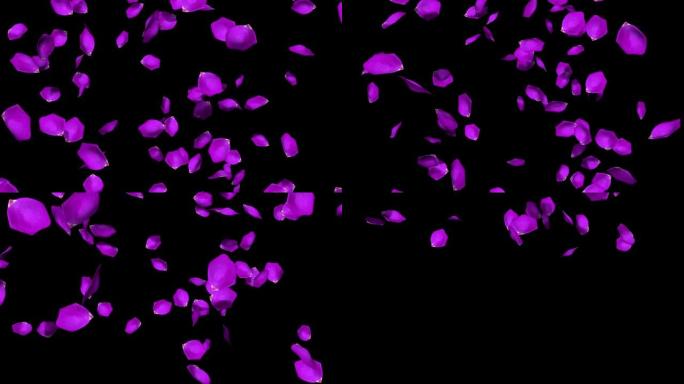 飞舞玫瑰花瓣背景，4K，紫色玫瑰花股票视频
