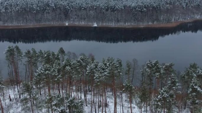 鸟瞰树梢覆盖在森林冬日的湖面积雪平静。宁静的自然，新鲜的空气，干净的蓝色水。在美丽安静的冬季湖上飞越