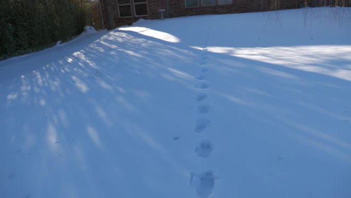 厚厚的积雪覆盖了后院，单行印有靴子