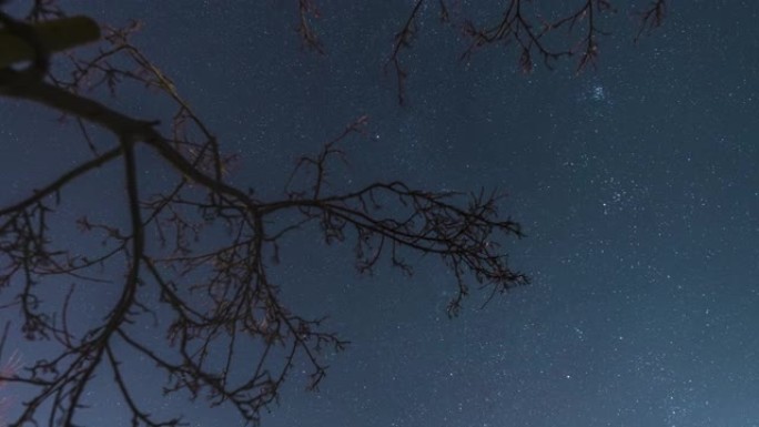 风景优美的旋转深邃晴朗的夜空，明亮的星星穿过树枝，缓慢平移时间流逝视频