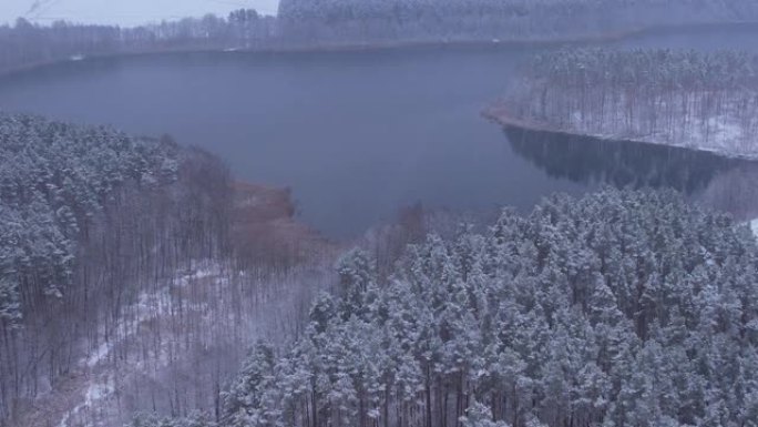 鸟瞰树梢覆盖在森林冬日的湖面积雪平静。在美丽安静的冬季湖上飞越迷人的白雪皑皑的松树林。飞越新鲜积雪覆