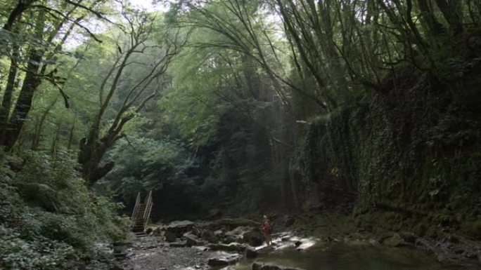 茂密的森林和家人站在石底的山河边。创意。夏季旅游概念。
