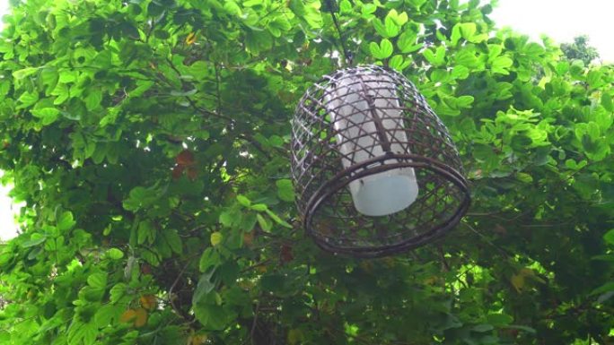 公园花园树上悬挂的竹编灯罩灯灯