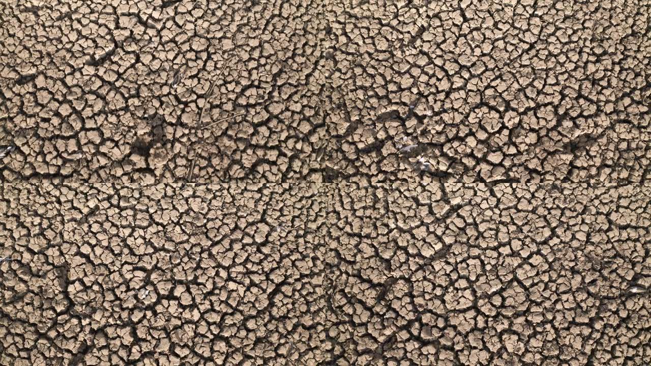 炎热的夏季，干燥土壤中的大泥浆裂缝，放大镜头