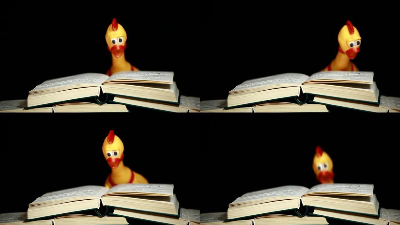 书籍橡胶鸡的镜头黑暗背景